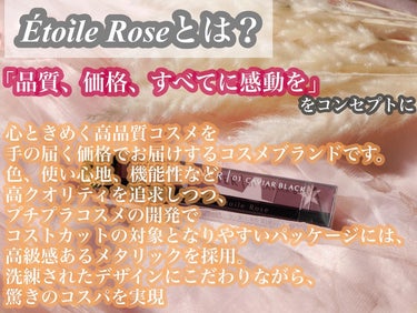 アイライナー/Étoile Rose/リキッドアイライナーを使ったクチコミ（2枚目）