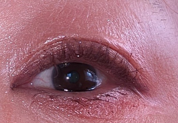 ジェル アイライナー PL20 パープル系/ちふれ/ジェルアイライナーを使ったクチコミ（2枚目）