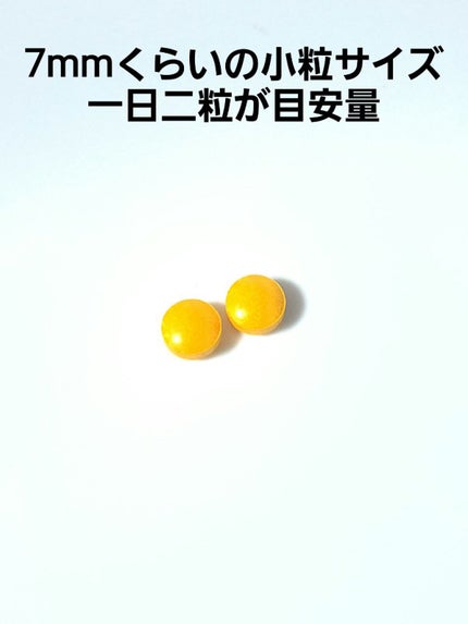 DHC 持続型ビタミンBミックス/DHC/美容サプリメントを使ったクチコミ(2枚目)