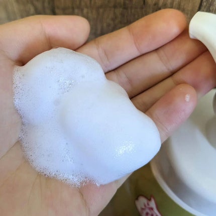 アレルジーナ 抗ヒスタミン成分配合 泡ボディソープ/マックス/ボディソープを使ったクチコミ(3枚目)