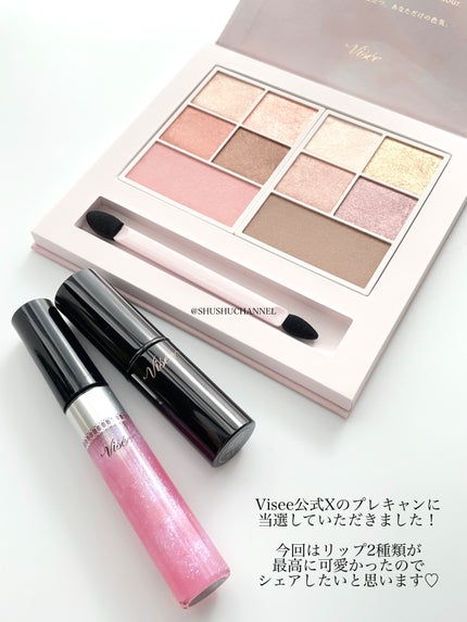 ネンマクフェイク ルージュ/Visée/口紅を使ったクチコミ(2枚目)