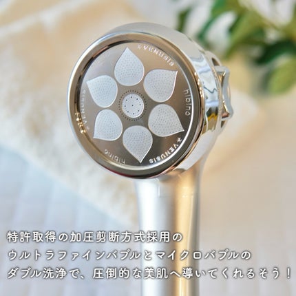 ヒビノリッチモイスティックシャワー HSW-9000/VENUSiS/シャワーヘッドを使ったクチコミ(2枚目)