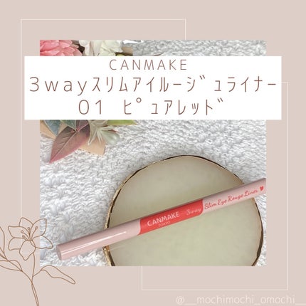 3wayスリムアイルージュライナー/キャンメイク/リキッドアイライナーを使ったクチコミ(1枚目)