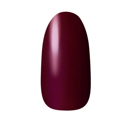 ネイルホリック RD402