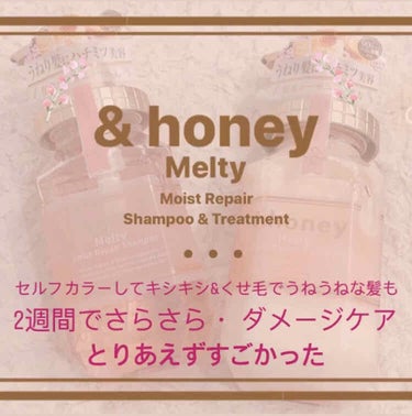 &honey Melty モイストリペア シャンプー1.0／モイストリペア ヘアトリートメント2.0/&honey/シャンプー・コンディショナーを使ったクチコミ（1枚目）