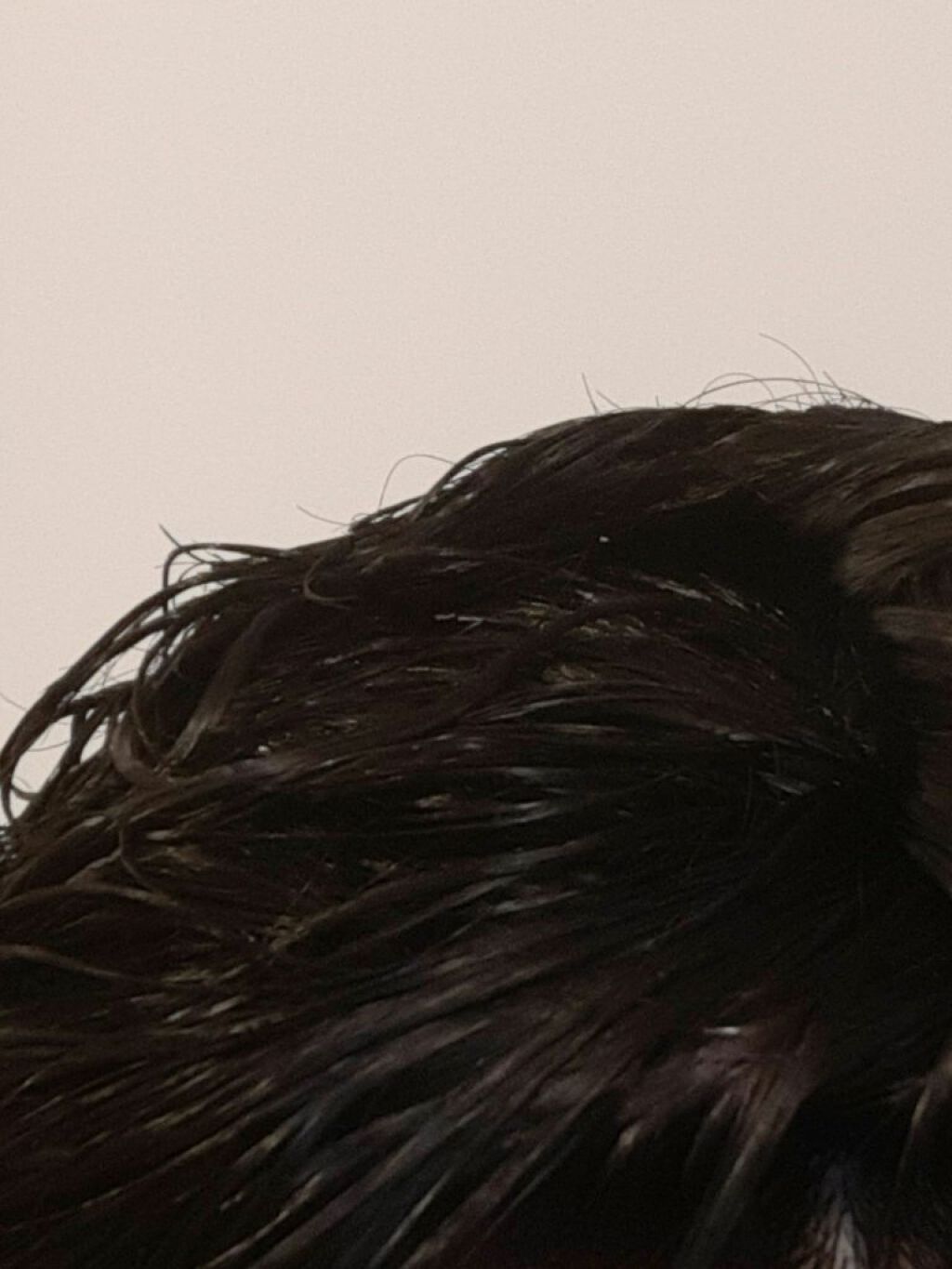 スパ・シャンプー/ヘアトリートメント モイスチャー/Off&Relax/市販シャンプーを使ったクチコミ(4枚目)