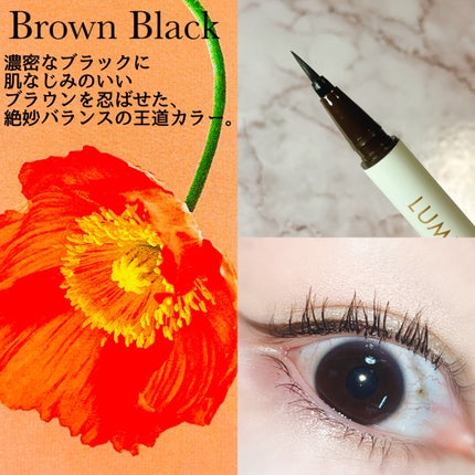 ベルベットライナー/LUMIURGLAS/リキッドアイライナーを使ったクチコミ(4枚目)