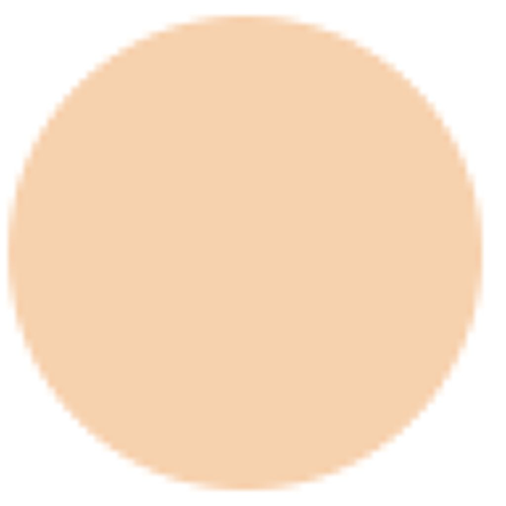 ザ スキン パウダーファンデーション エア 201