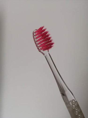 プログリップハブラシ　typeⅠ/エビス/歯ブラシを使ったクチコミ（7枚目）