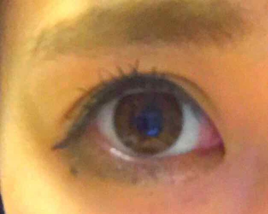 ラッシュボーン フィルム/MAJOLICA MAJORCA/マスカラ下地を使ったクチコミ（3枚目）