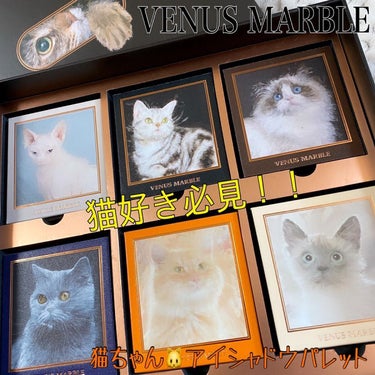 Venus Marble アイシャドウキャットシリーズ/Venus Marble/パウダーアイシャドウを使ったクチコミ（1枚目）