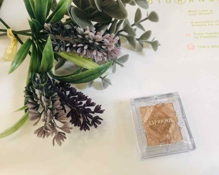 セレクト アイカラー/ESPRIQUE/単色アイシャドウを使ったクチコミ(1枚目)