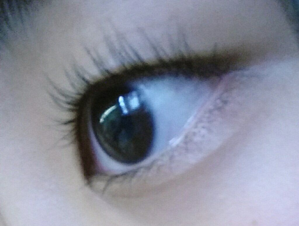 ローヤルゼリー配合 栄養ローション/DAISO/美容液を使ったクチコミ（2枚目）