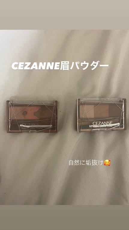 ノーズ&アイブロウパウダー/CEZANNE/パウダーアイブロウを使ったクチコミ(1枚目)