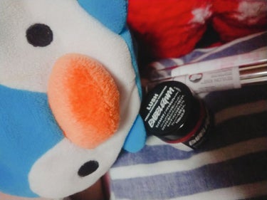 このLushのBubble Gumは、私が大好きな、クリスマスシーズンにしか出てこない、大好きな香り、Snow Fairyの香りのリップスクラブだよ🎵🐻💕💕💕🌈✨

このBubble Gumは通年商品な