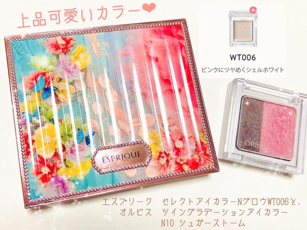 ツイングラデーションアイカラー/オルビス/アイシャドウパレットを使ったクチコミ(1枚目)