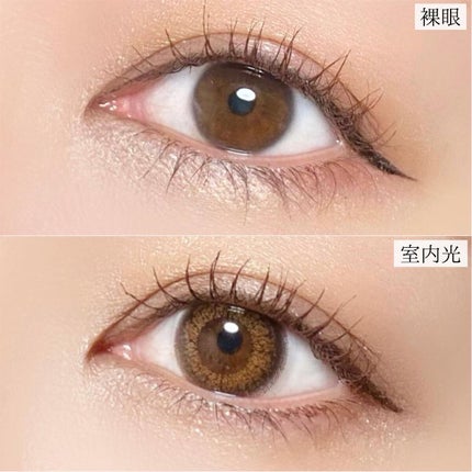 WAVEワンデー UV リング プラス フラワーコレクション poppy veil/WAVE/ワンデー(1DAY)カラコンの画像