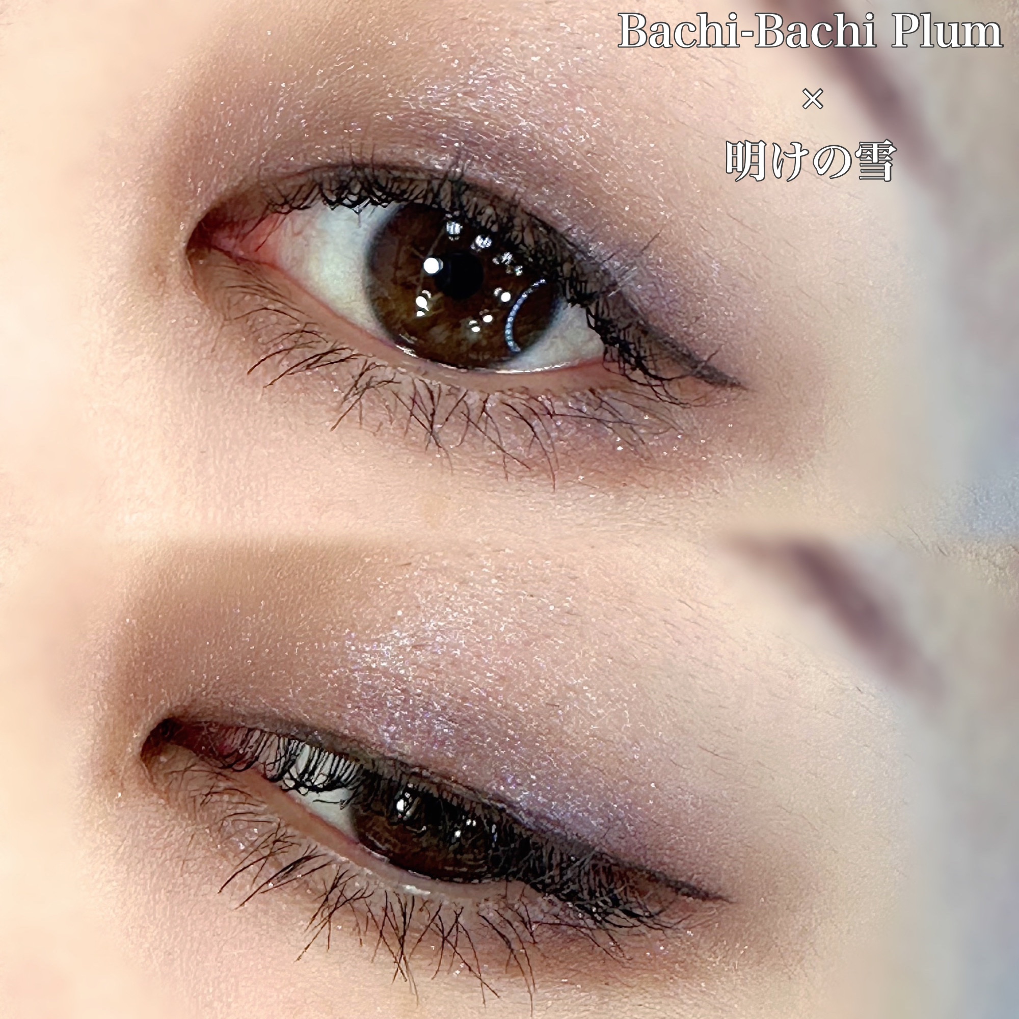 ポップ パウダージェル アイシャドウ 15 Bachi-Bachi Plum/SHISEIDO/単色アイシャドウを使ったクチコミ（1枚目）