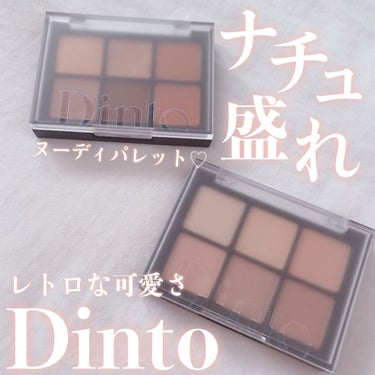 ブラーフィニシュシャドウパレット/Dinto/アイシャドウパレットを使ったクチコミ（1枚目）