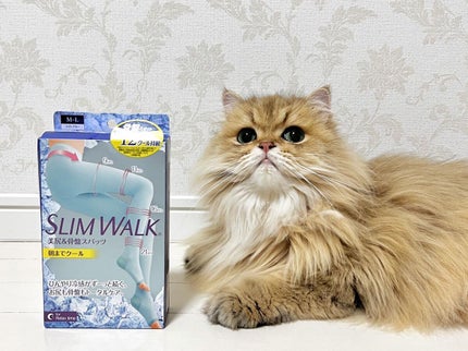 美脚ロング 朝までクール ライトブルー(M〜L)/SLIMWALK/着圧ソックス・レギンスを使ったクチコミ(1枚目)