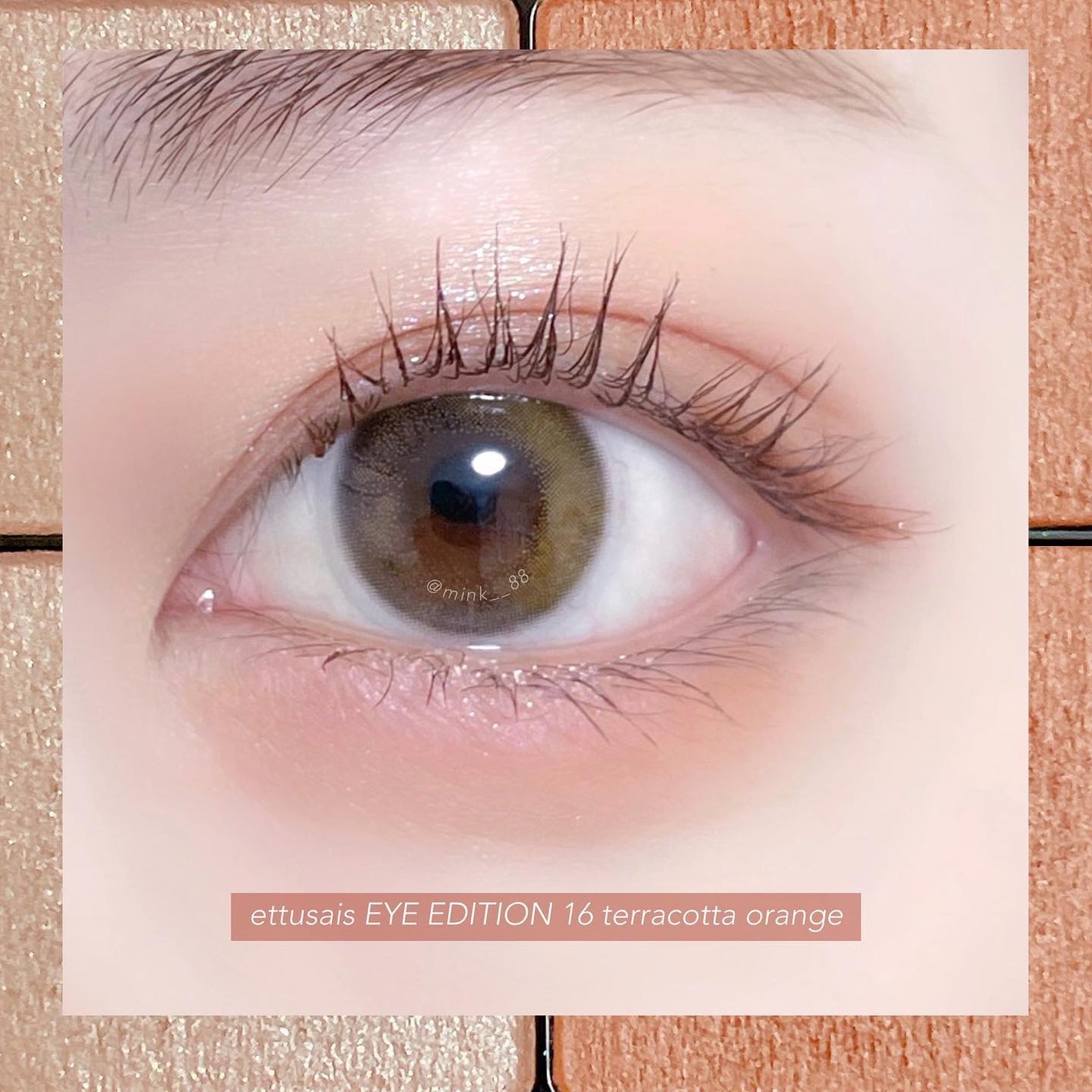 エテュセ アイエディション(カラーパレット)/ettusais/アイシャドウパレットを使ったクチコミ(4枚目)