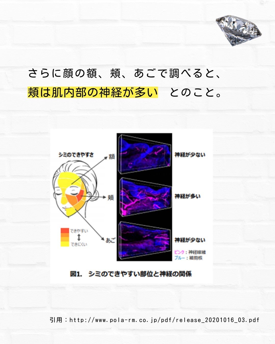 とまと村長@化粧品研究者 on LIPS 「化粧品研究者のとまと村長です🍅今回はシミのメカニズムについてポ..」(6枚目)