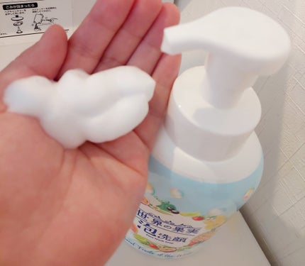 世界の果実 すっきり泡洗顔/世界の果実/泡洗顔を使ったクチコミ(2枚目)