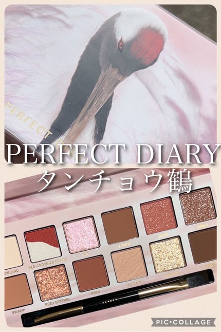 エクスプローラ12色 動物アイシャドウパレット/PERFECT DIARY/アイシャドウパレットを使ったクチコミ(2枚目)
