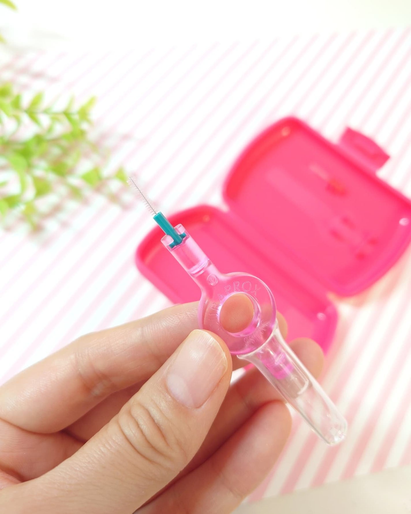 トラベルセット クラプロックスビーユー/CURAPROX/歯ブラシを使ったクチコミ(6枚目)