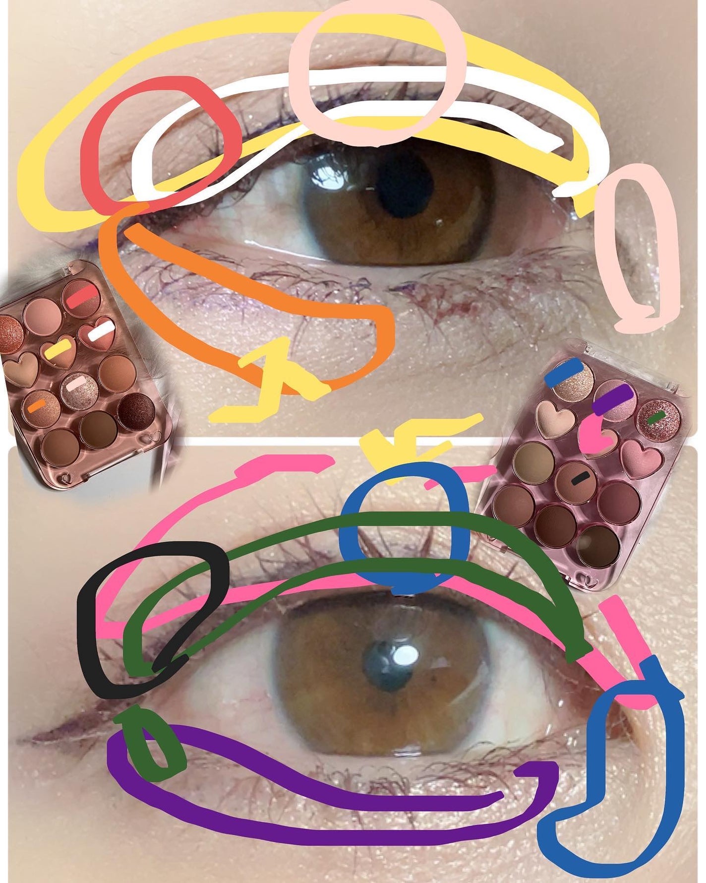 目元チュートリアルアイパレット/Colorgram/アイシャドウパレットを使ったクチコミ(6枚目)