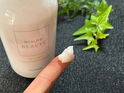 スカルプD ボーテ 薬用スカルプシャンプー(モイスト)/薬用トリートメントパック(モイスト)/アンファー(スカルプD)/市販シャンプーを使ったクチコミ(5枚目)