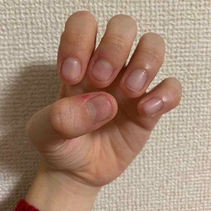 を使ったクチコミ(1枚目)