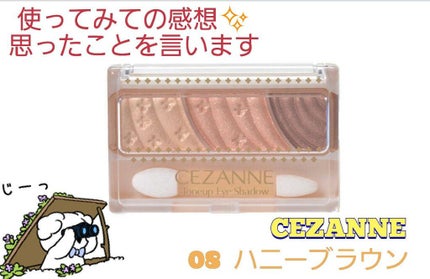 トーンアップアイシャドウ/CEZANNE/アイシャドウパレットを使ったクチコミ(1枚目)