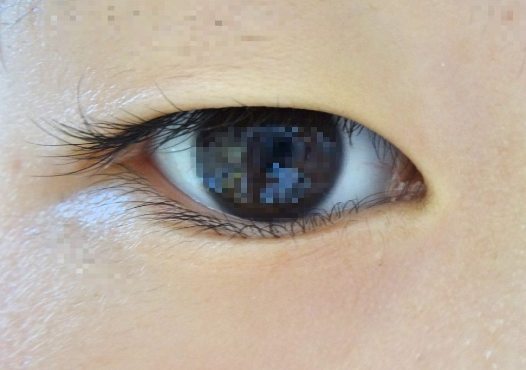 パーフェクトマルチアイズ/キャンメイク/アイシャドウパレットを使ったクチコミ（2枚目）