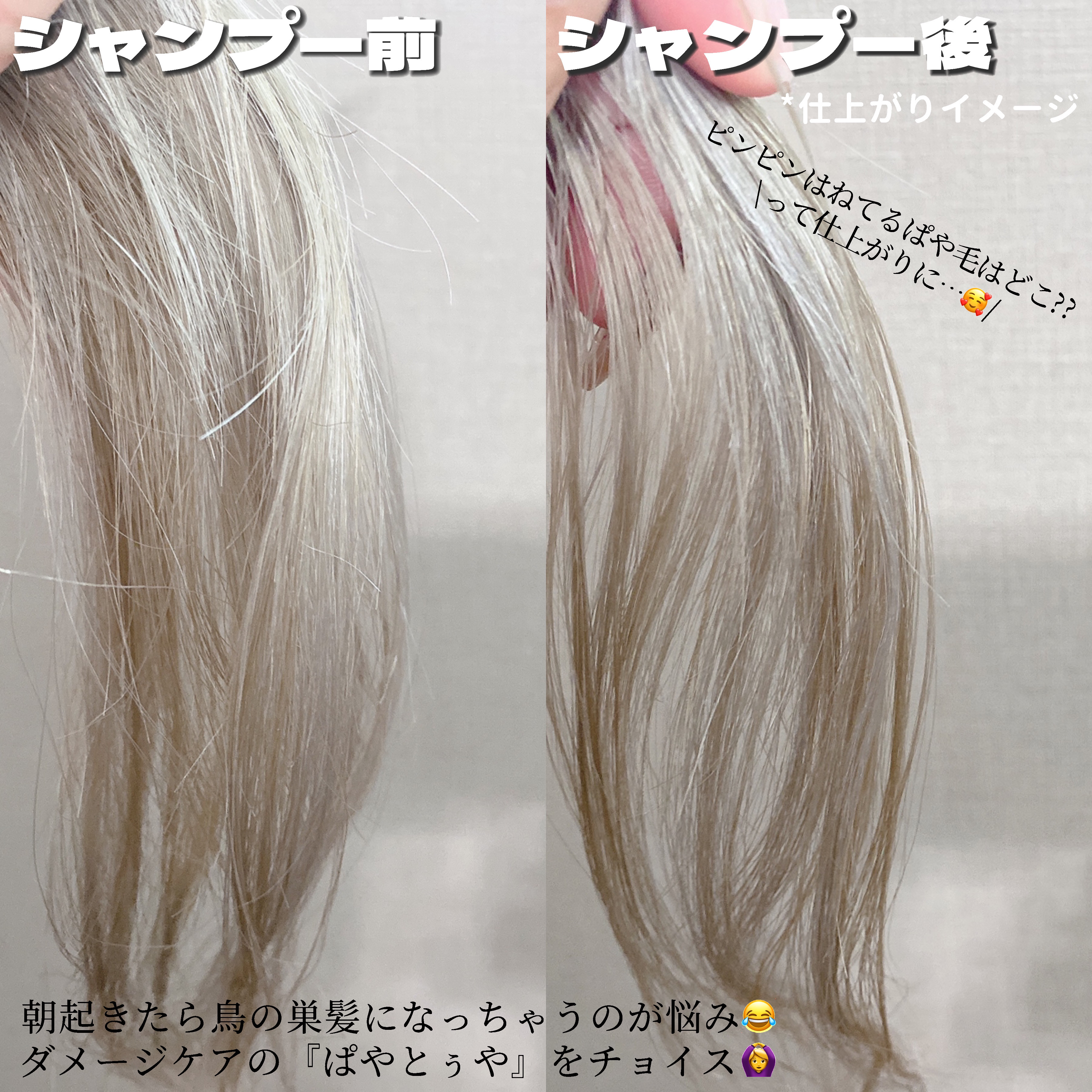 SS ビオリス ピュアレタッチ うねさぁら シャンプー/ヘアコンディショナー/SSビオリス/市販シャンプーを使ったクチコミ（3枚目）