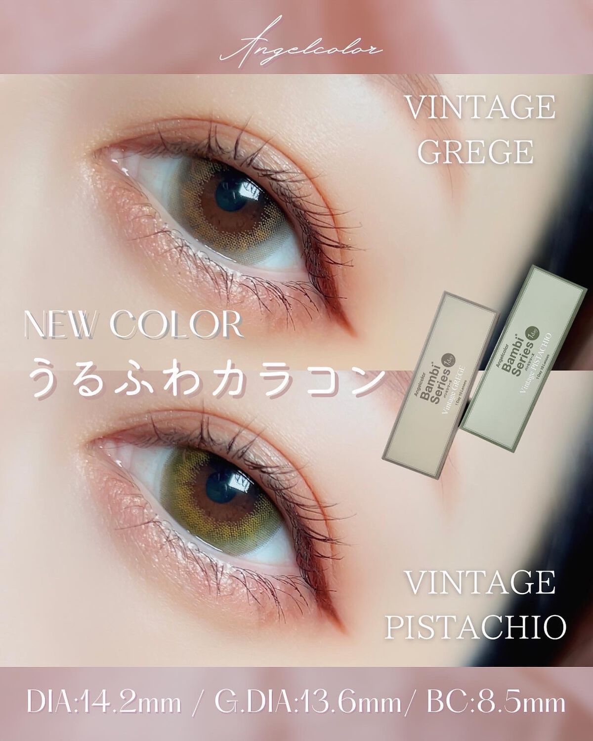Angelcolor Bambi Series Vintage 1day/AngelColor/ワンデー（１DAY）カラコンを使ったクチコミ（1枚目）