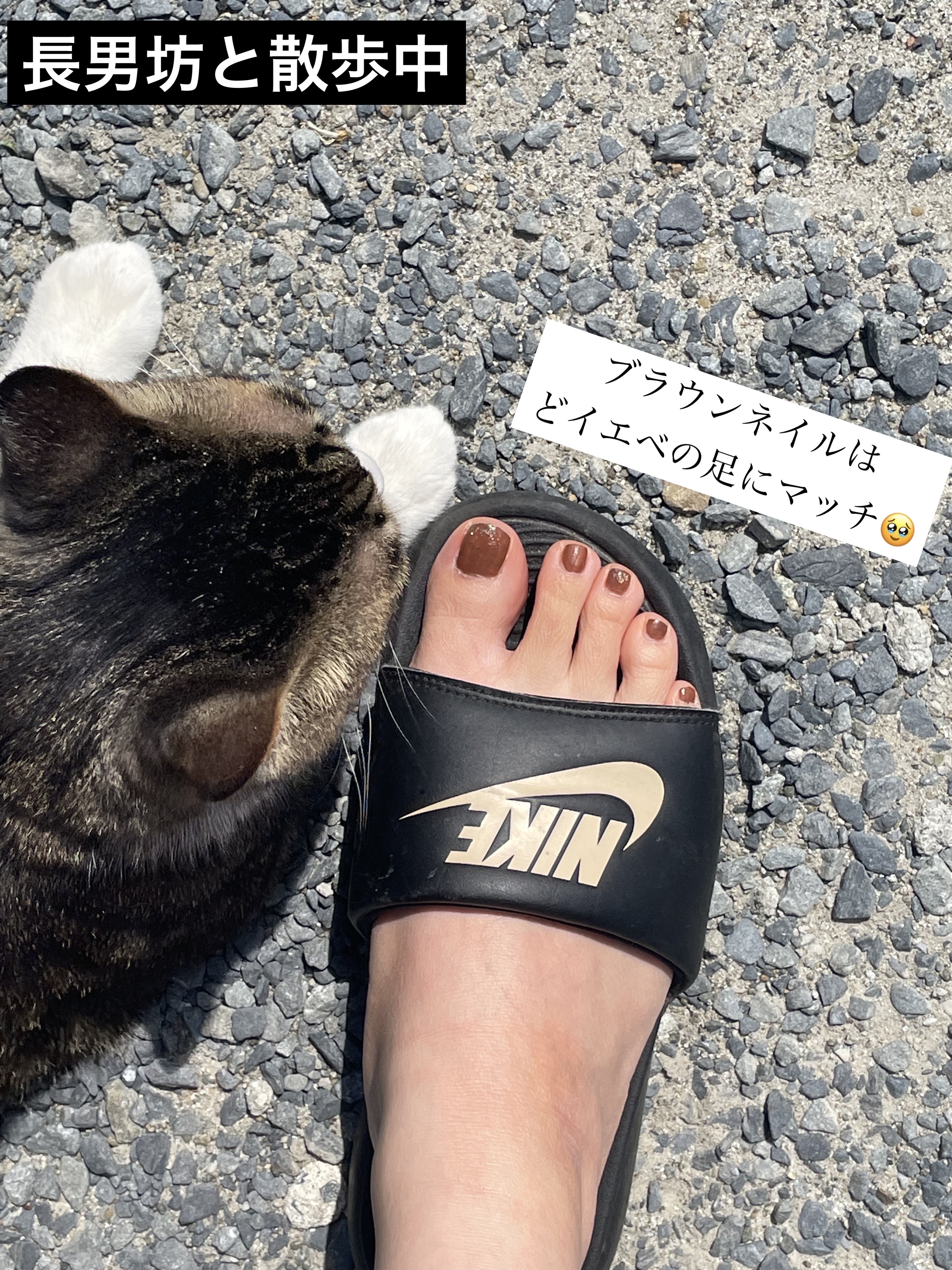 ミニネイル SV02 ガラスシューズ/パラドゥ/マニキュアを使ったクチコミ（3枚目）