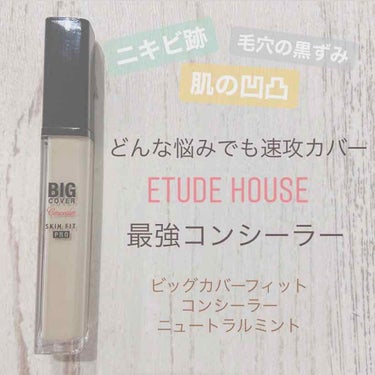 ビッグカバーフィットコンシーラー/ETUDE/リキッドコンシーラーを使ったクチコミ（1枚目）