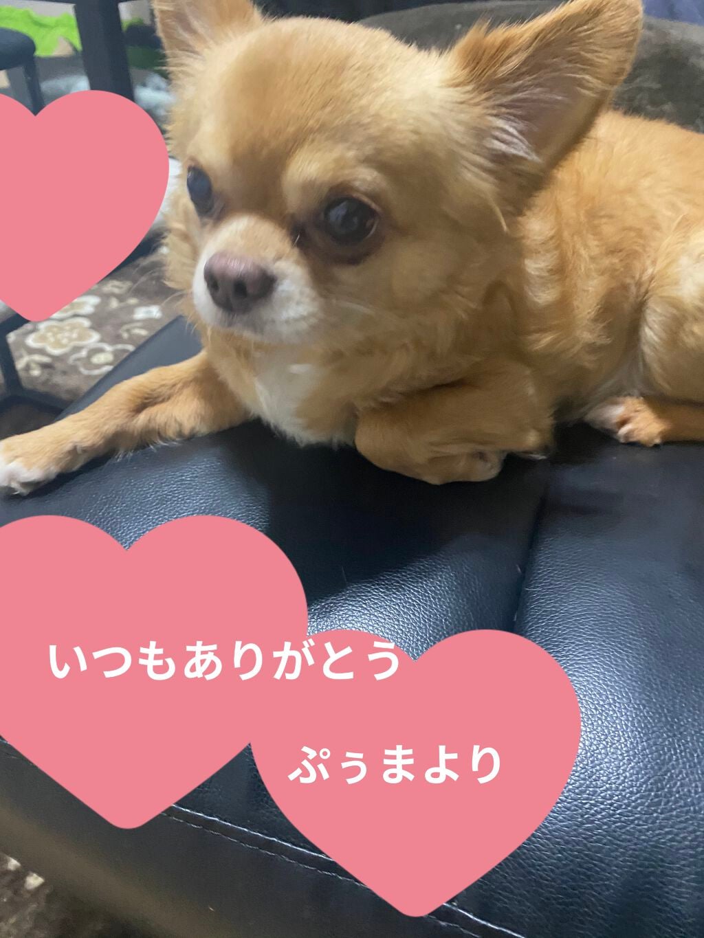 バブルガムフレーバー リップスクラブ/ラッシュ/リップスクラブを使ったクチコミ(8枚目)