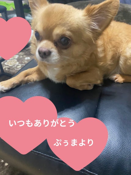 バブルガムフレーバー リップスクラブ/ラッシュ/リップスクラブを使ったクチコミ(8枚目)