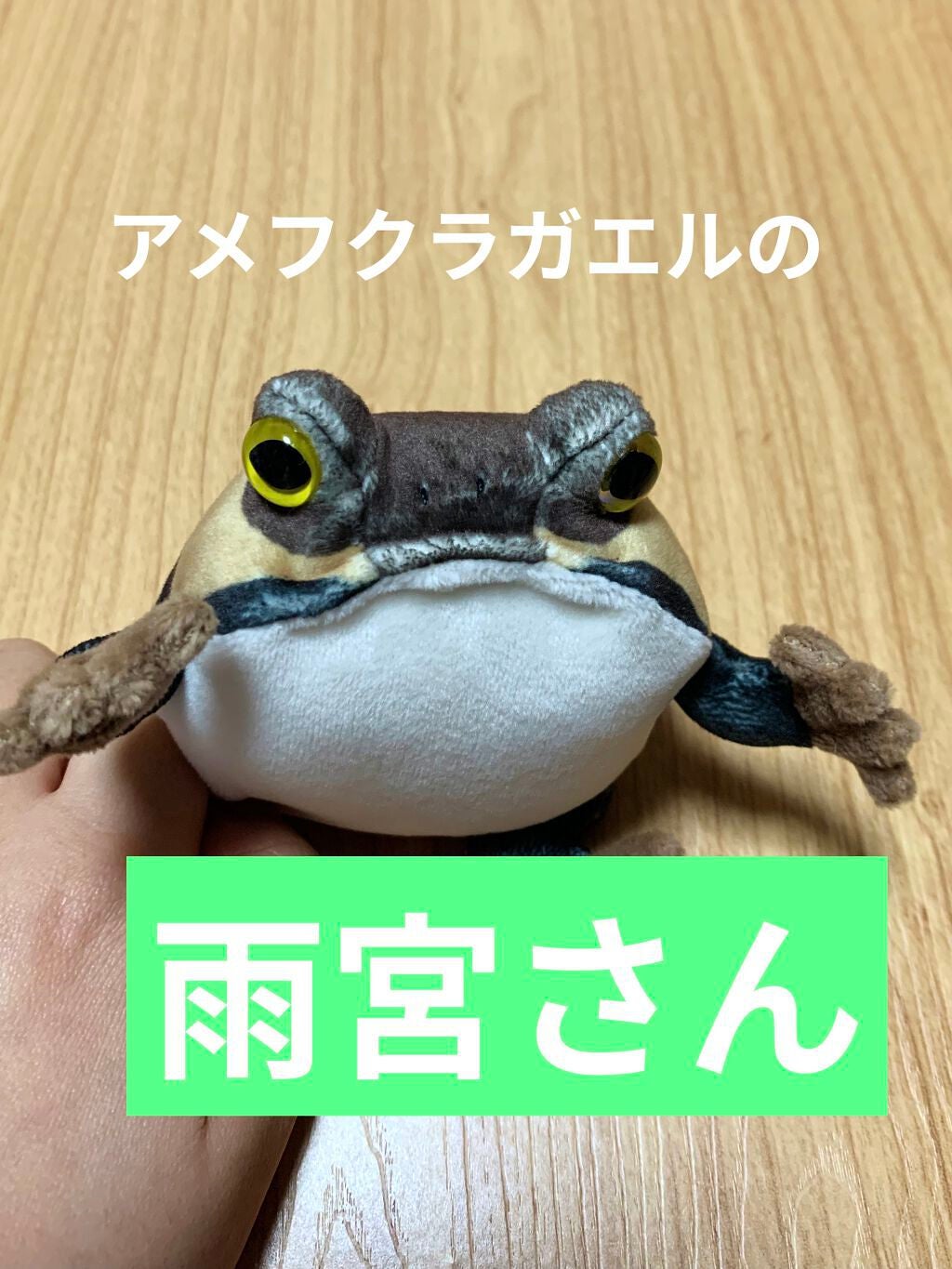 美容液ケアアイシャドウ/Borica/ジェル・クリームアイシャドウを使ったクチコミ(7枚目)