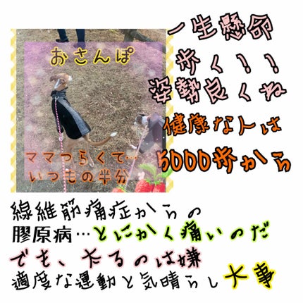 イタグレーゼ on LIPS 「💛ダイエット💛🌀ウォーキング🌀💫人の身体で1番大きな筋肉は…太..」(2枚目)