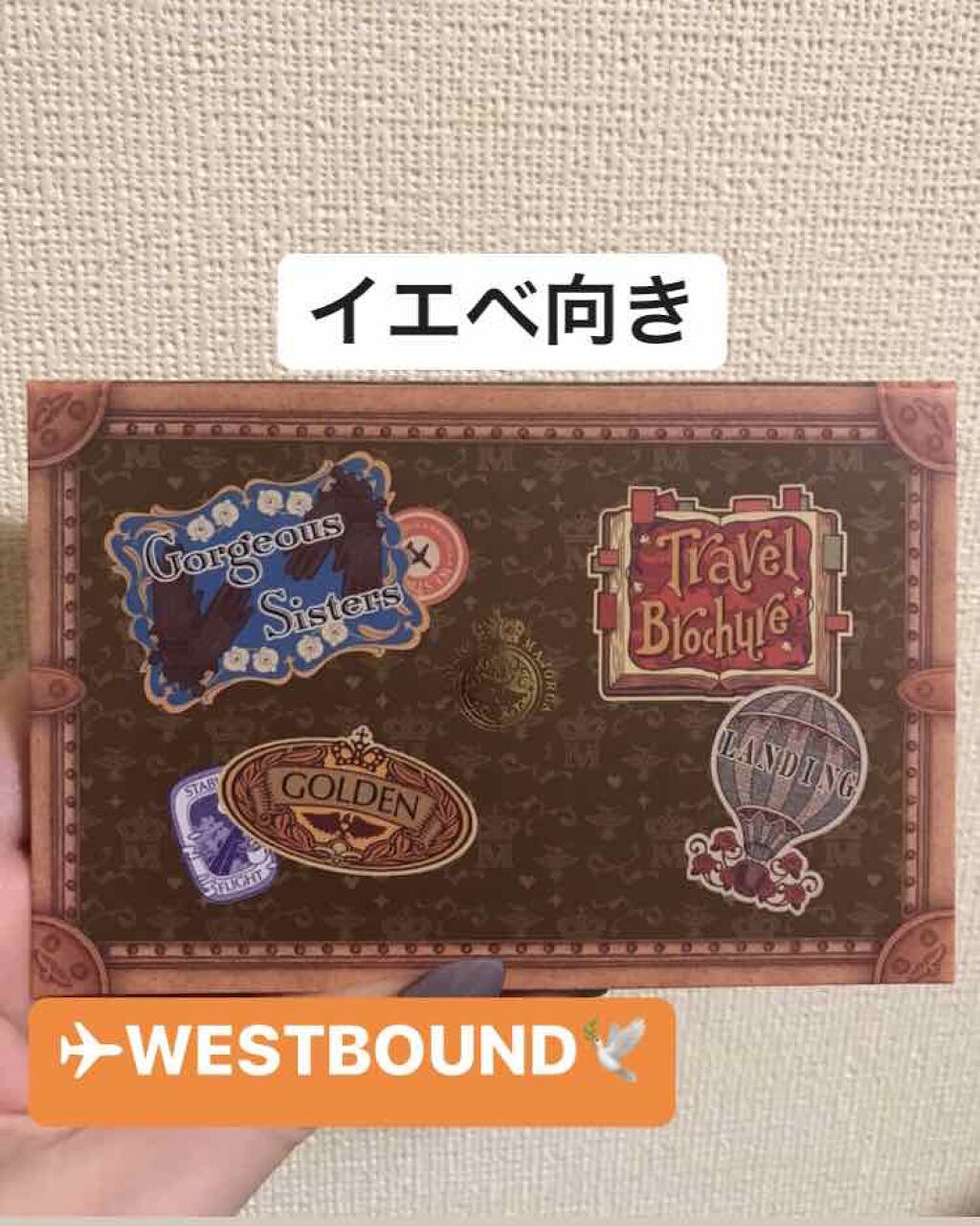 ナイストゥミーチュートランク/MAJOLICA MAJORCA/アイシャドウパレットを使ったクチコミ(3枚目)