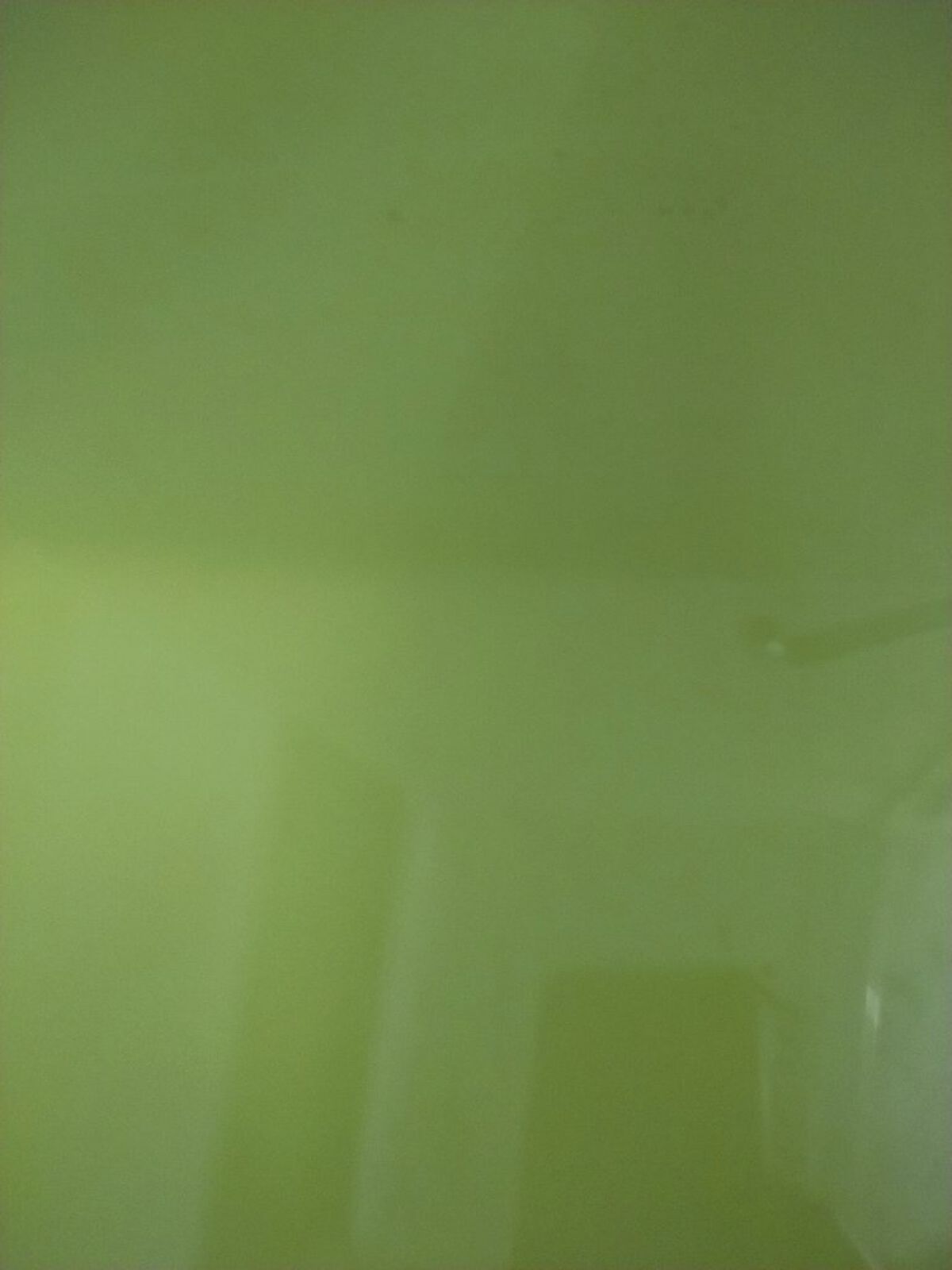 エプソム塩+にがり/charley/その他を使ったクチコミ（2枚目）