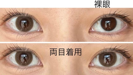 FLANMY 1day サクラロール/FLANMY/ワンデー(1DAY)カラコンを使ったクチコミ(2枚目)