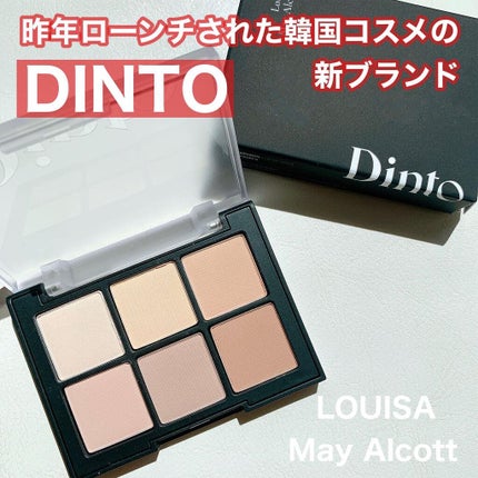 ブラーフィニシュシャドウパレット/Dinto/アイシャドウパレットを使ったクチコミ(1枚目)
