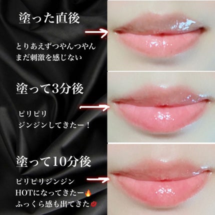 HOTOMI リッププランパー/HOTOMI/リッププランパーを使ったクチコミ(4枚目)