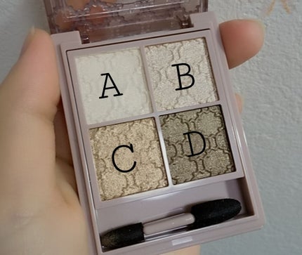 グロッシーリッチ アイズ N/Visée/アイシャドウパレットを使ったクチコミ(2枚目)