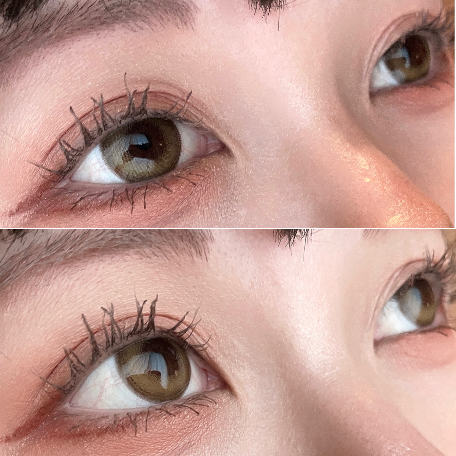 Angelcolor Bambi Series 1day  レモンヘーゼル/AngelColor/ワンデー（１DAY）カラコンを使ったクチコミ（3枚目）