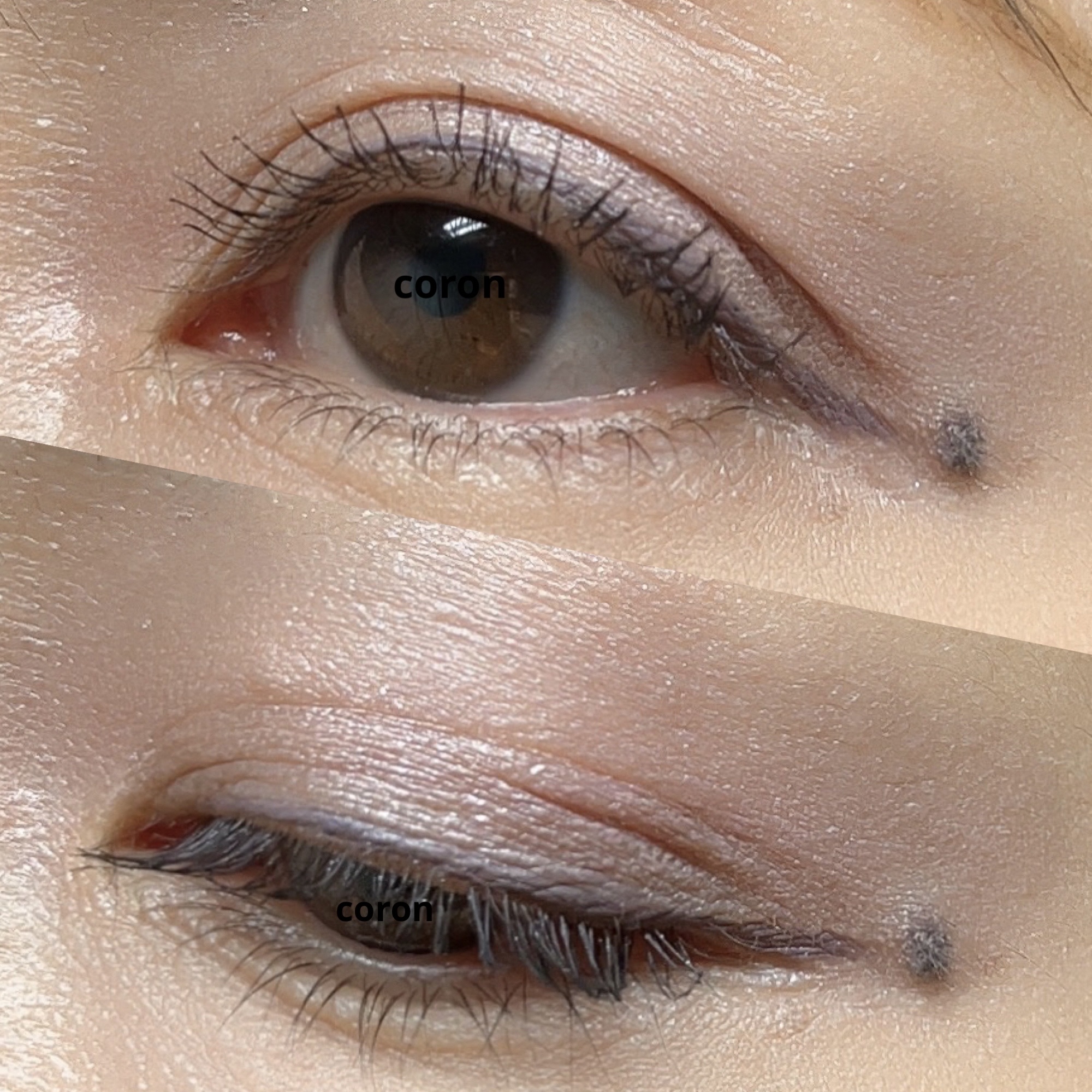 アイブロウ カラーマスカラ 01　ゴールドベージュ/Amplitude/眉マスカラを使ったクチコミ（2枚目）